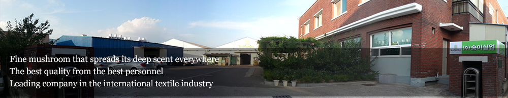 fabric manufacturer korea